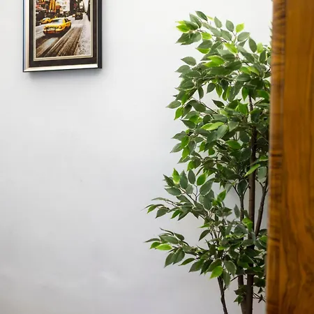 Located Cozy In Historical Building * Budapešť